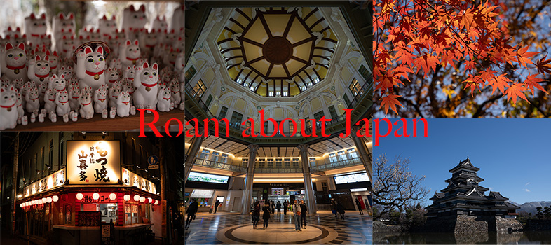 roam about japan image